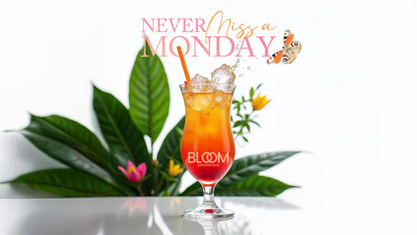 classic cocktail, cocktail, juice, bay breeze, non-alcoholic drink, punch