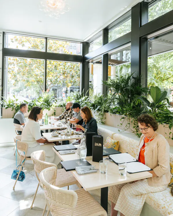 furniture, table, restaurant, chair, cafeteria, houseplant
