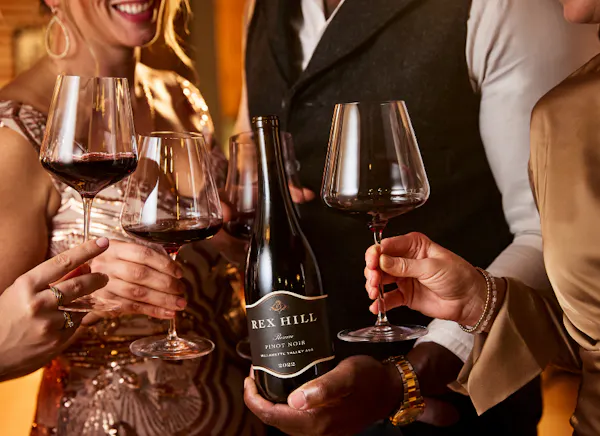 alcoholic drink, drinkware, stemware, alcohol, tableware, wine glass