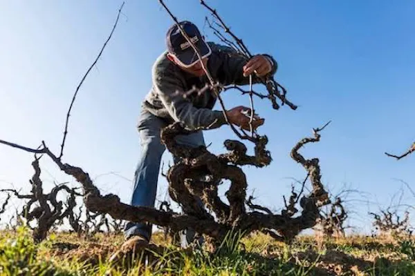 people in nature, agriculture, soil, farmworker