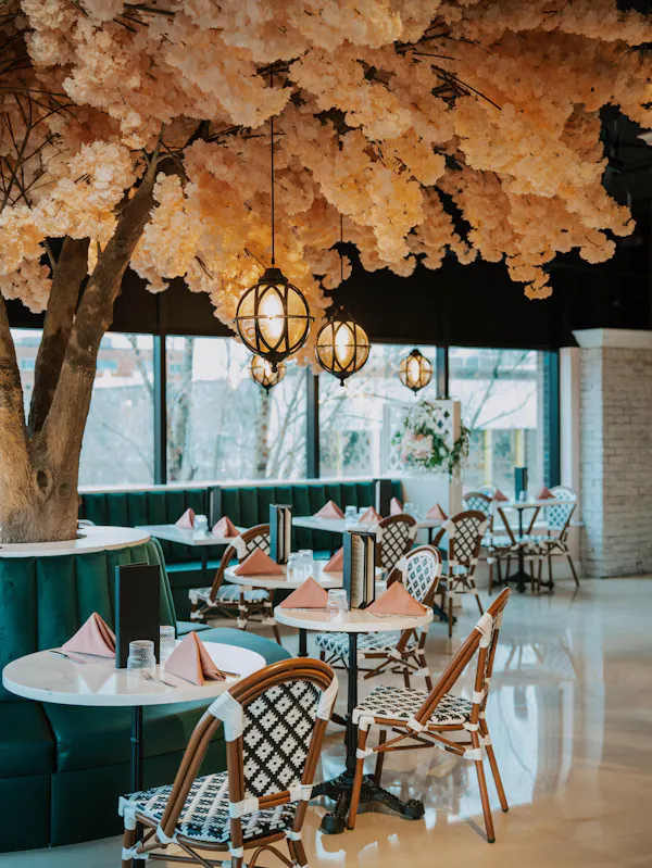 chandelier, lighting, light fixture, ceiling, restaurant, natural material
