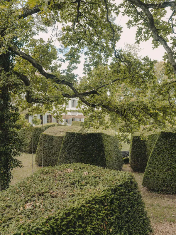 shrub, hedge, garden, groundcover, lawn, environmental art