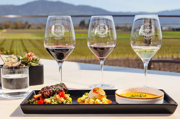 stemware, tableware, wine glass, drinkware, barware, serveware