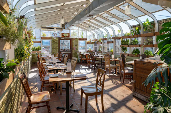 plant, table, furniture, property, chair, outdoor furniture