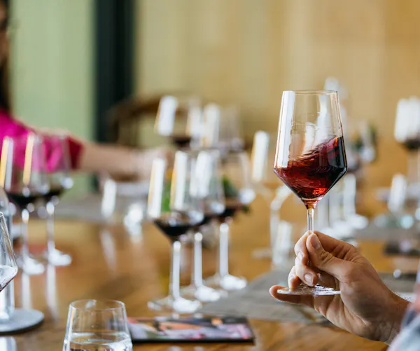 stemware, tableware, drinkware, wine glass, alcoholic drink, barware