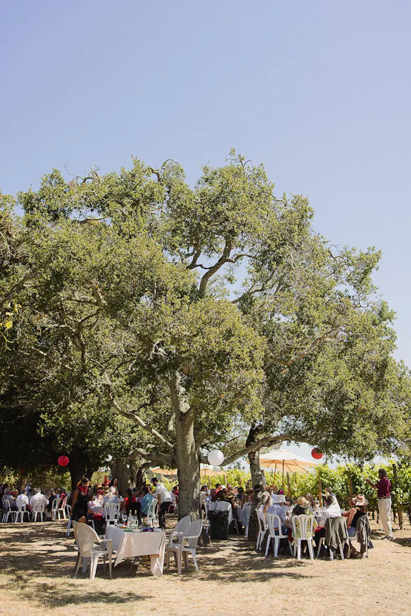 tree, branch, recreation, spring, leisure, shade