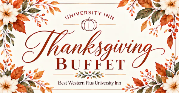 food, dishware, serveware, banquet, culinary arts, comfort food