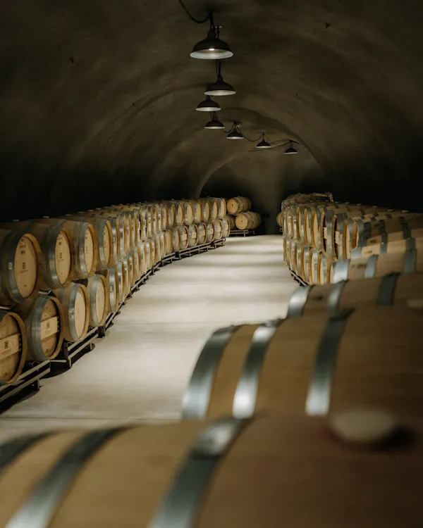 barrel, winery, wine cellar, design, brewery, still life photography