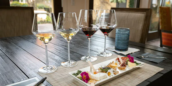 tableware, stemware, drinkware, barware, wine glass, serveware