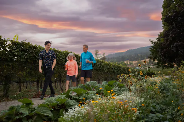 plants, shrub, summer, spring, plantation, people in nature