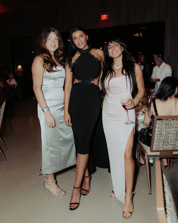 dress, fashion, formal wear, event, one-piece garment, flooring