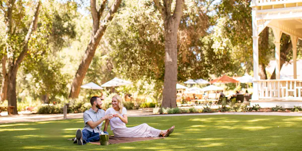 tree, summer, leisure, recreation, garden, spring
