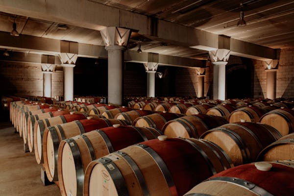barrel, wine cellar, winery, mass production, brewery, wood