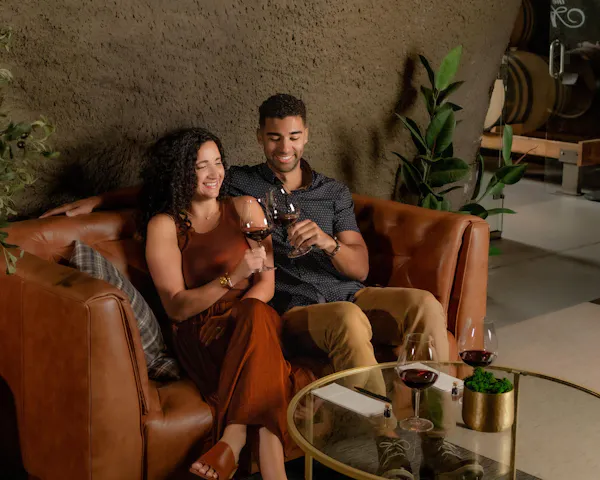 furniture, leg, sitting, comfort, couch, living room