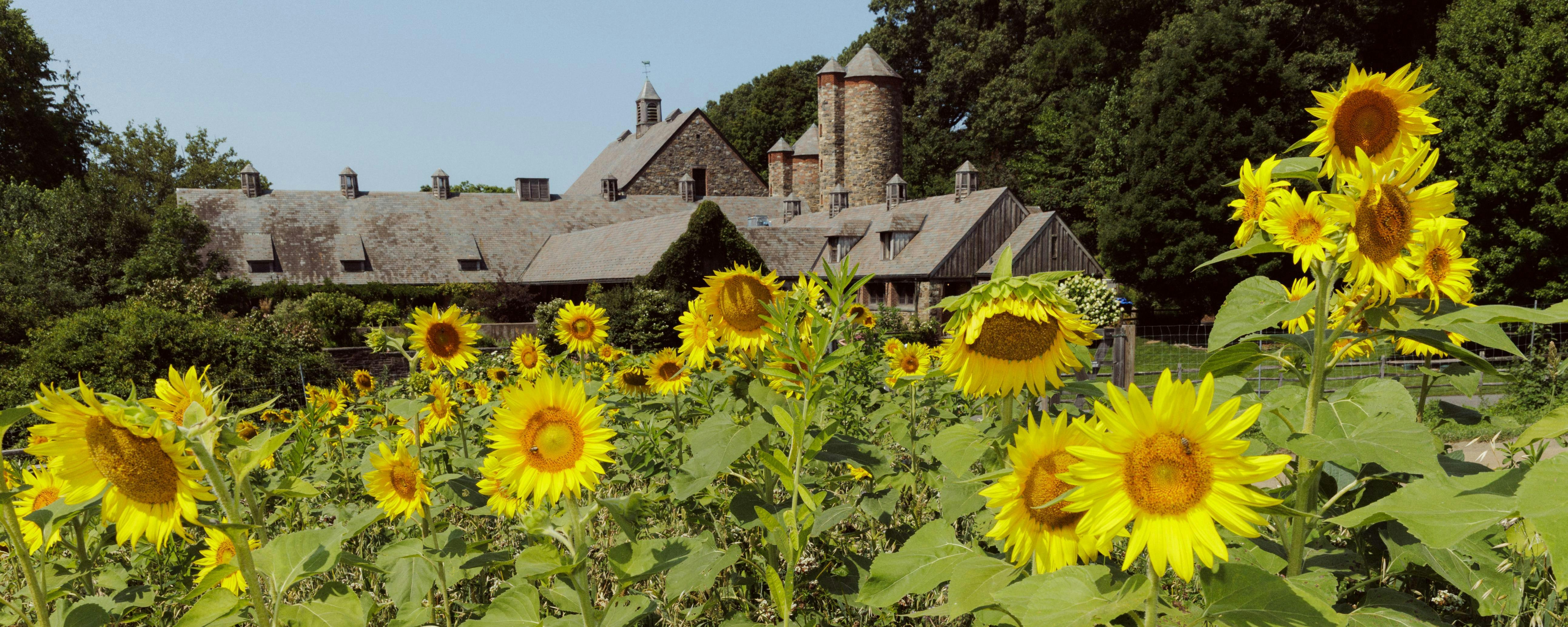 Blue Hill at Stone Barns