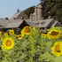 Blue Hill at Stone Barns