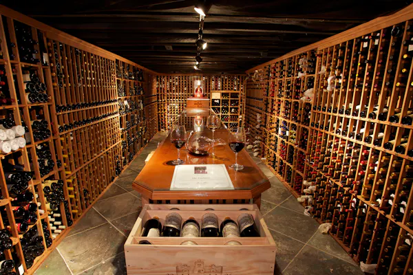 wine cellar, winery, wine rack, lighting, shelf, barware