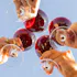 Grove Estate Wines