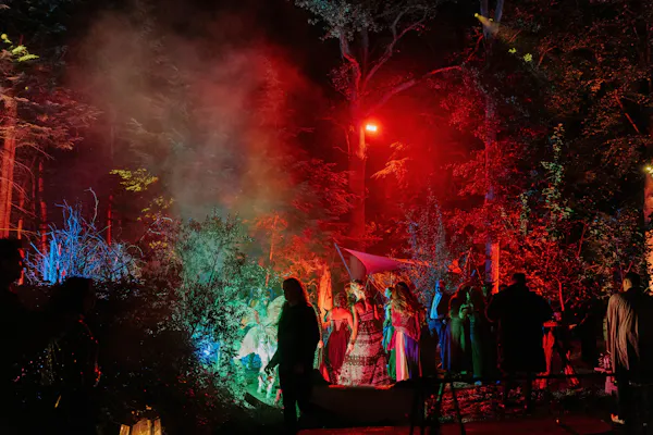 event, entertainment, night, fun, midnight, public event