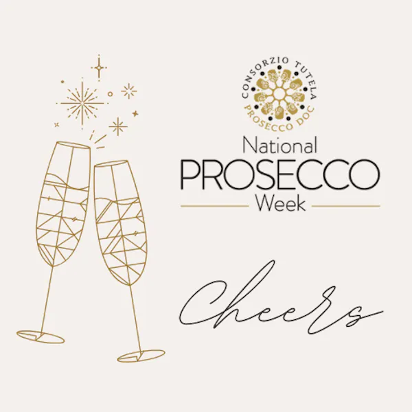 alcoholic drink, champagne glass, wine, stemware, drinkware, champagne