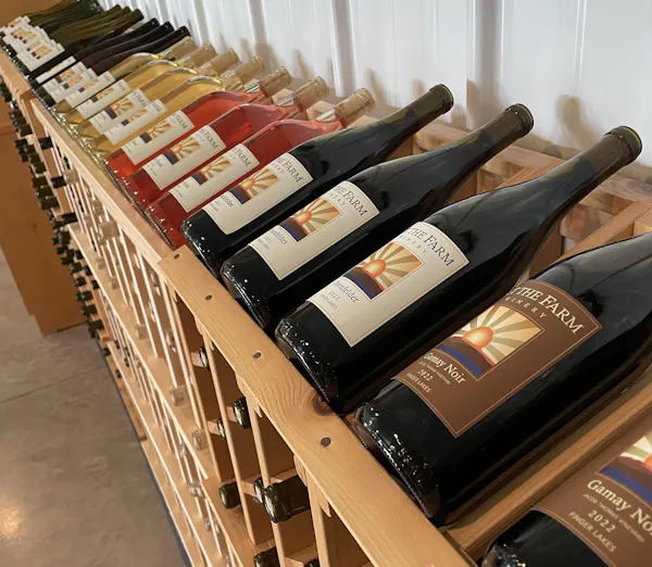 bottle, alcoholic drink, glass bottle, wine bottle, wine, alcohol