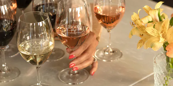 stemware, tableware, wine glass, drinkware, alcoholic drink, barware