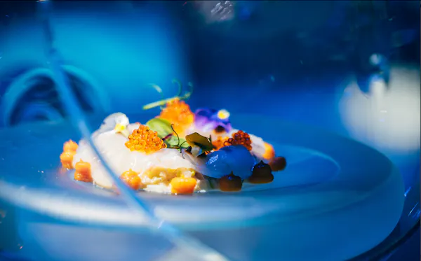 culinary arts, food, recipe, dessert, garnish, cooking