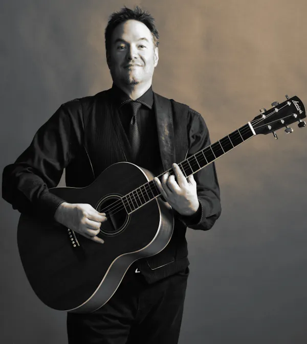 string instrument, musical instrument, chordophone, guitarist, guitar, plucked string instrument