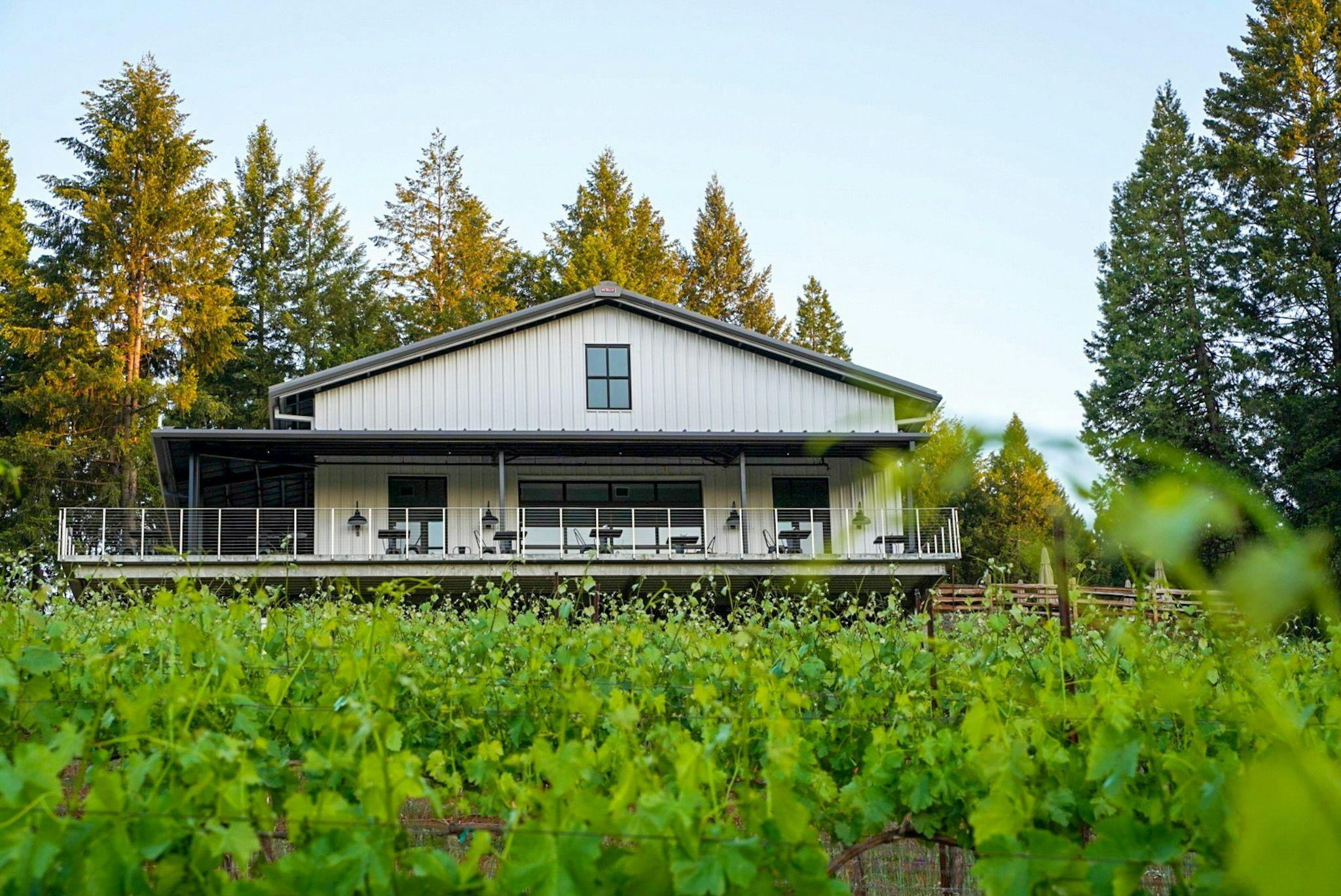 Edio Vineyards at Delfino Farms