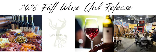 drinkware, alcoholic drink, barware, restaurant, wine, liquor