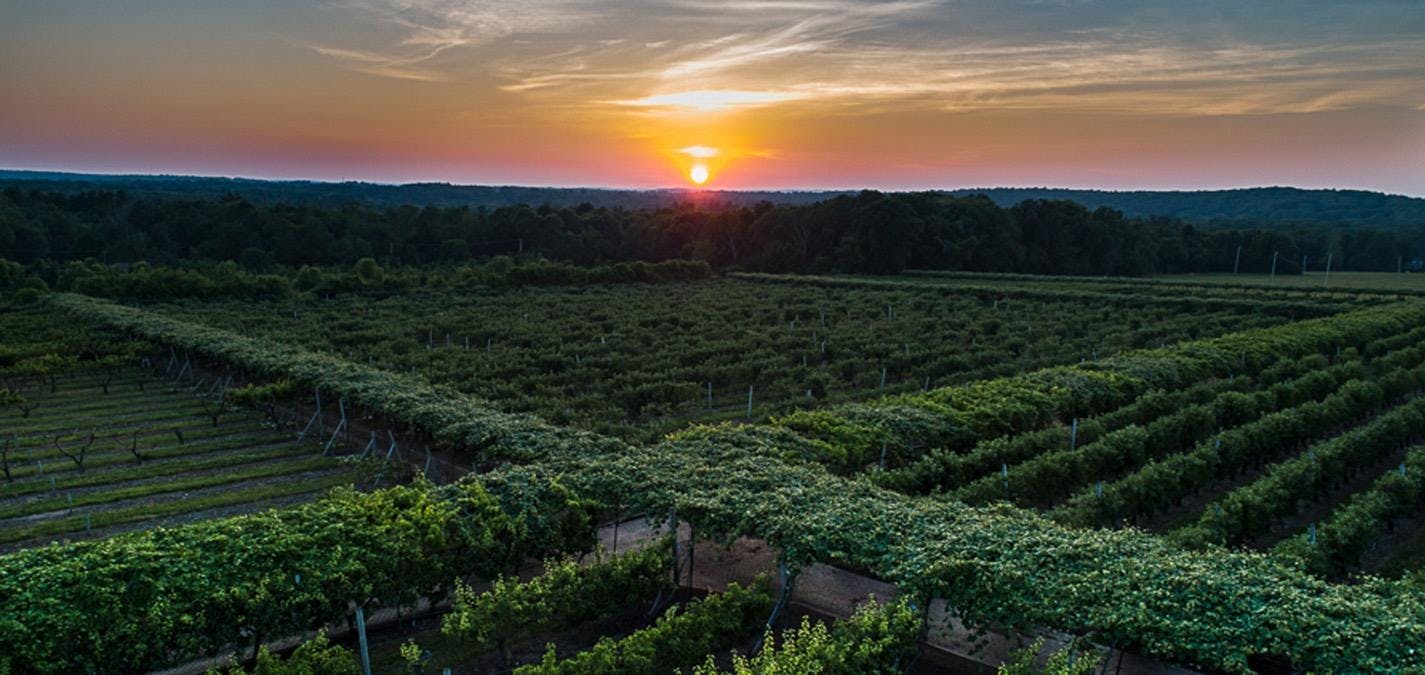 Lookout Farm Brewing & Cider Co. Taproom - Natick, MA | Tock