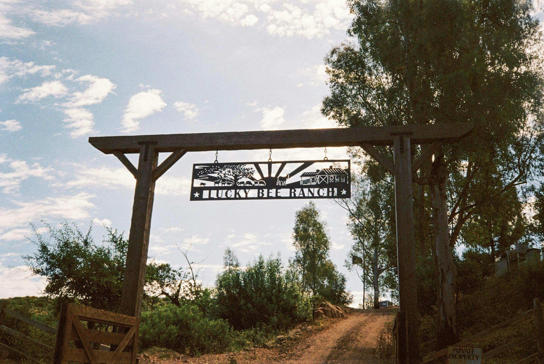 Lucky Bee Ranch