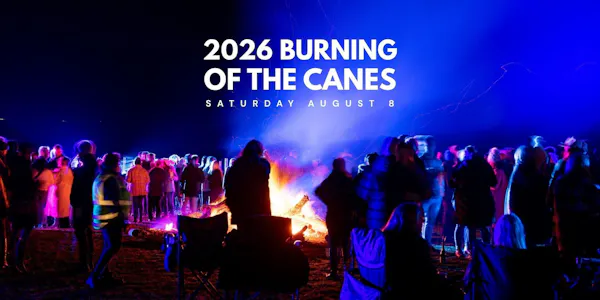 people, event, crowd, fire, recreation, public event
