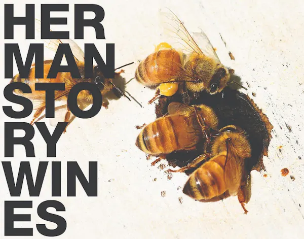 pest, insect, honey bee, arthropod, hymenopterans, pollinator