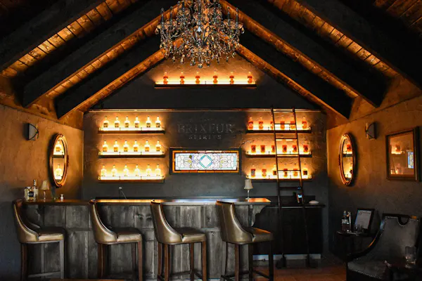 lighting, light fixture, ceiling, bar, wood stain, hotel