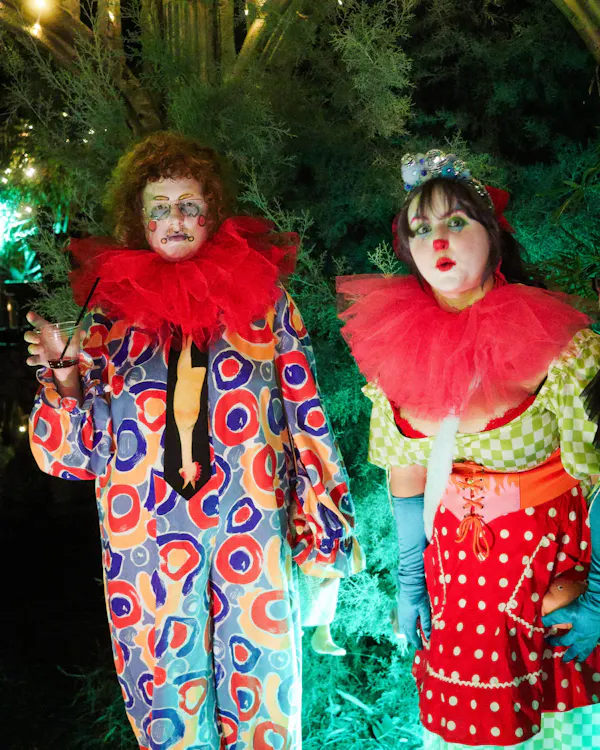 smile, costume, fun, happiness, clown, entertainment