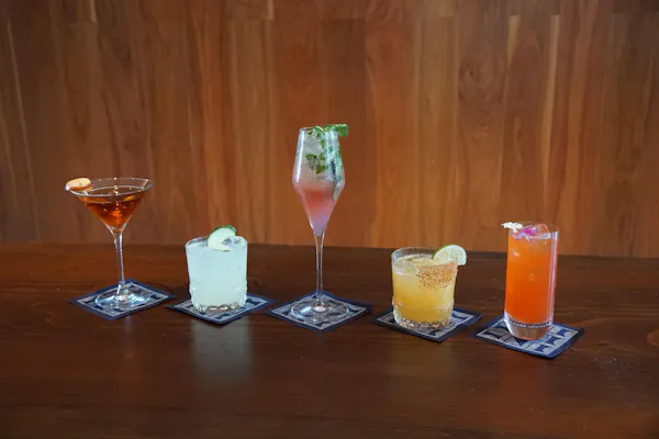 tableware, alcoholic drink, bacardi cocktail, classic cocktail, cocktail, liquor