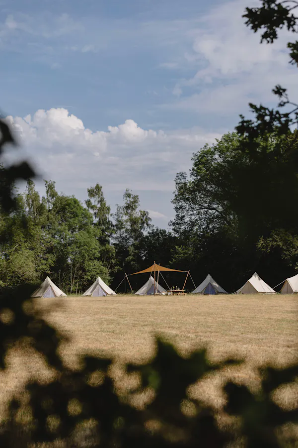 tree, camping, tent, morning, sunlight, shade