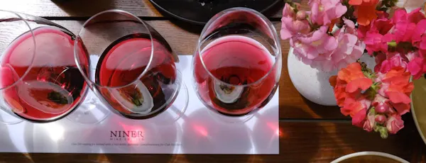 stemware, tableware, drinkware, red, wine glass, glass