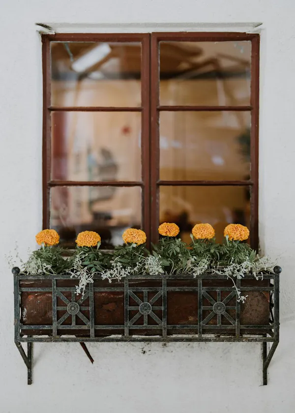 flowerpot, floristry, iron, houseplant, flower arranging, cut flowers