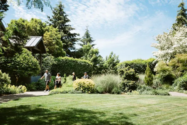 shrub, garden, leisure, groundcover, spring, landscaping