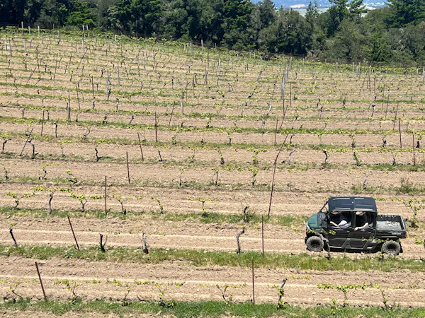 plant, ecoregion, vehicle, tire, land lot, grass
