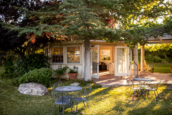 plants, shrub, garden, house, cottage, home