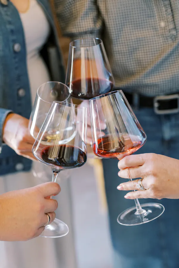 stemware, tableware, drinkware, wine glass, alcoholic drink, barware