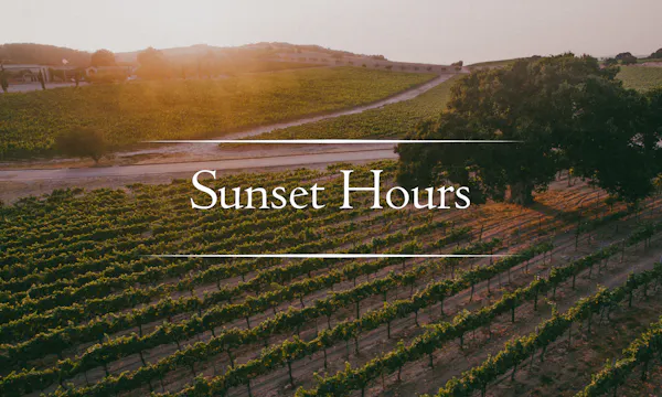 morning, dusk, plantation, sunrise, evening, sunset