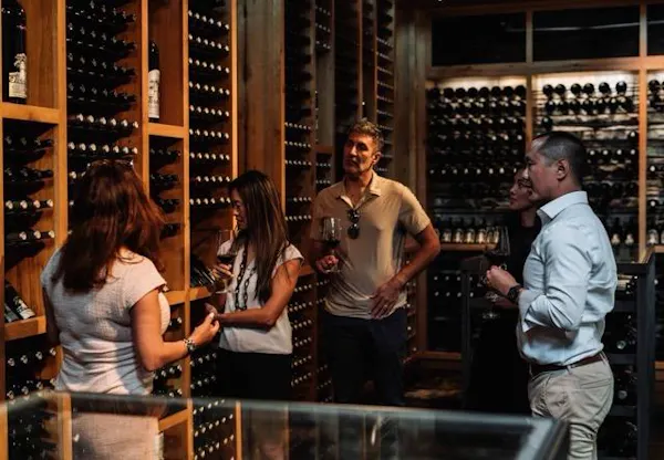 furniture, wine cellar, alcoholic drink, conversation, customer, wine rack