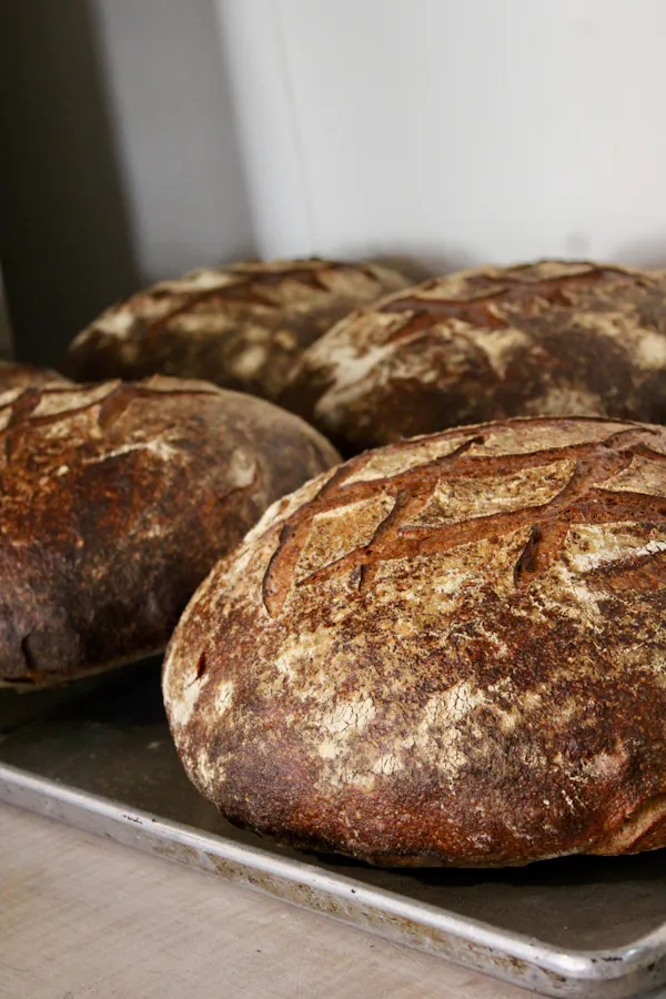 food, ingredient, bread, baking, sourdough, loaf