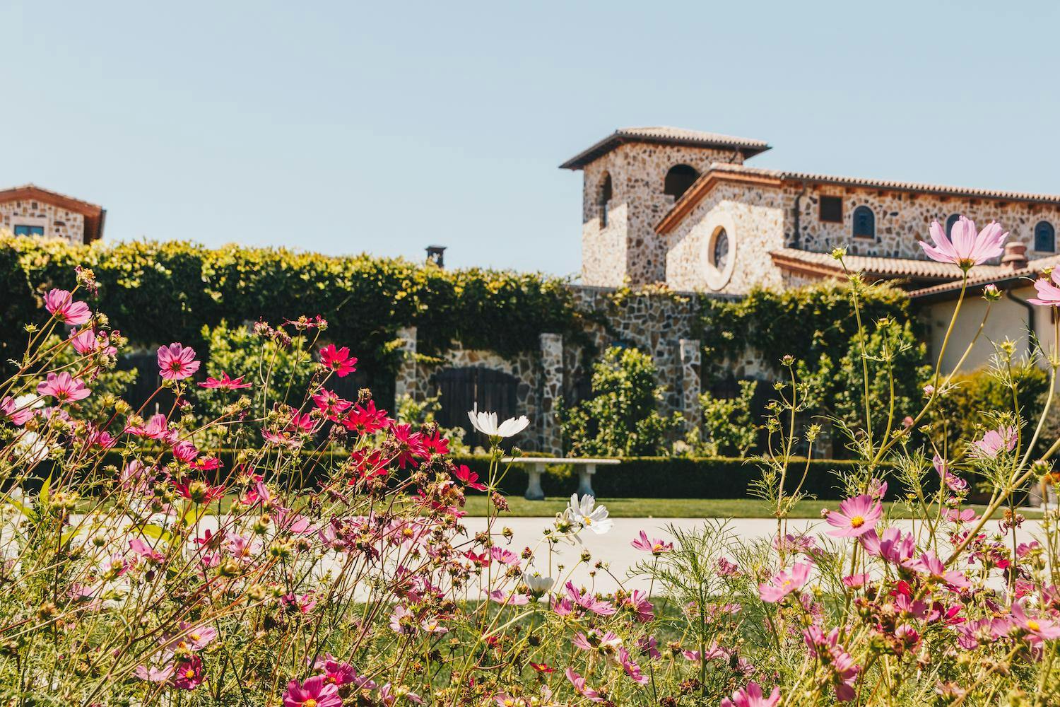 Jacuzzi Family Vineyards 