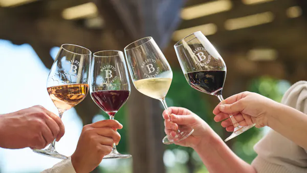 stemware, tableware, drinkware, wine glass, alcoholic drink, barware