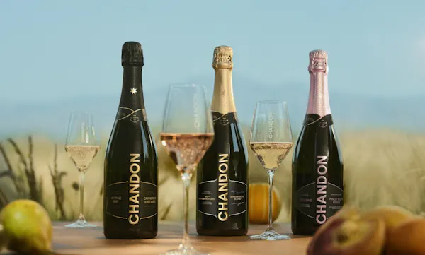 bottle, glass bottle, alcoholic drink, champagne, barware, wine bottle